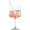 SCHOTT ZWIESEL After Work Drinks, set di 4 bicchieri da cocktail, 4 cannucce di vetro e 1 spazzola di cotone, bicchieri in cristallo Tritan lavabili in lavastoviglie, Made in Germany (art. 124685)