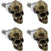 YINETTECH 4 bulloni M6 per targa in acciaio inox, fissaggio a vite per auto, moto, camion, targa, teschio, bronzo