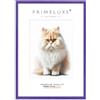 PrimeLuxe Cornice portafoto in legno, realizzata su misura, sottile, 21 x 30 cm, in viola lucido, dimensioni a scelta, con vetro acrilico antiriflesso, cornice per poster, puzzle, collage fotografico
