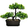 MOVKZACV Piante finte bonsai artificiali, decorazione per camera da letto, ingresso, estetica, bagno, libreria, scrivania, 28 x 21,8 cm (verde scuro)