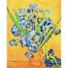 Artnapi Dipingere con i numeri, adulti con cornice, dipinta a mano fai da te, fiori - Vincent van Gogh iris | Kit per principianti e adulti | Set con colori acrilici e pennelli | 40 x 50 cm tela