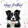 Curled Up Biglietto di compleanno Border Collie - Cappello da festa con pecora, regalo per amanti dei cani