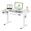 FLEXISPOT Scrivania Regolabile in Altezza 110×54 cm - Con Ganci e Piano Monoblocco, Scrivania Ergonomica con Display LED Altezza e Funzione Memoria