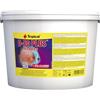 Tropical D-50 Plus 11L / 2kg - Mangime di Base per intensificare i Colori dei Discus