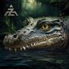 A-Z A2Z² Album