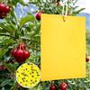 THERTHW Trappole Acchiappa Ciliegio Mosche, Trappola Mosca Olivo, Appiccicose Doppio Faccia Giallo Adesivo per Cattura Insetti Volanti, Afidi, MosceriniFungini, e Mosche Bianche (100 pezzi)