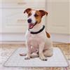 Generico Tappetino Rinfrescante per Cani e Gatti, Cooling Mat Pieghevole,Tappeto Estivo per Animali, Tappetino Rinfrescante per Animali di Piccola Media Grande, 40x50 cm, 70x55cm, 100x75cm