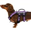 Huntboo Pettorina Cane Taglia Piccola, Pettorina Antifuga Cane da Servizio con 6 Patch, Pettorina Anti Tiro per Cani con Maniglia, Riflettente, Regolabile, Passeggiate e Addestramento (Lilla, XS)