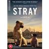 Dogwoof Stray (DVD) Zeytin Nazar Kartal