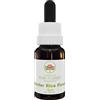 Australian Bush Flower Essences Slender Rice Flower 15ml
