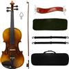 Violino con Archetto Completo Violino con Custodia Lucido per Casa,