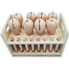 Set di Percussioni Ritmico Educativo Legnetti Musicali con Scatola Didattico