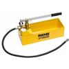 Rems 115000R Pompa prova impianti push