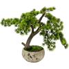 XONE Pino Bonsai artificiale in vaso di cemento h50 cm