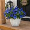 Aisamco Fiori Artificiali, 6 Mazzetti di Fiori di Ipomea Finti in Seta Resistenti ai UV, per Decorazione Interna ed Esterna, Vaso Casa, Portico, Patio, Giardino, Balcone (Blu)