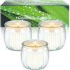 Aottom Grandi candele da esterno alla citronella, confezione da 3 candele da esterno in barattoli di vetro con cera di soia naturale e olio di citronella, perfette per giardino, campeggio, picnic, balcone