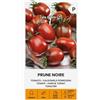 Žalia stotelė Zalia stotele | POMODORO - SEMI DI PRUGNA NERA | Semi di ortaggi | Semi di pomodoro | Semi di piante | Semi da giardino | 1 pacchetto