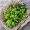 Tûche Semi BROCCOLETTI O CIME DI RAPA SESSANTINA In Busta Ermetica MADE IN ITALY Qualità superiore con 95% di germogliazione con istruzioni