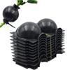 Generico 10 Pezzi Germogliatore Radicante per Talee e Piante, Grow Box per Propagazione con Margotta Aerea, Semenzaio Germinazione Riutilizzabile per Innesti, Alberi e Fiori