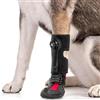 SENECESLI Stecca per piede cadente con bobina per cane, stecca per piede di cane traspirante con suola antiscivolo per problemi di artrite, calzino altamente elastico (XL)