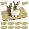 PORFOYO 10 tappetini per erba di piccoli animali, 28 x 20 cm, per coniglio, erba, tappeto erboso, tappeto erboso, tappetino per letto in tessuto naturale, per criceti, conigli, pappagalli, piccoli animali