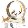 MIWOOYY Ruota per Gatti Grandi per Correre da 100cm - Tapis Roulant per Gatti in Legno Massello Naturale per Interno, Ruota per Esercizi di Sicurezza per Gatti con Serratura & Design del Gap Ridotto al Minimo