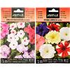 Semillas Batlle - Semi di Vinca di Madagascar Rossa Nana, Confezione da 40 g & Petunia Compacta VARIADA, Multicolore