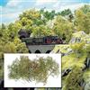 Busch 6801 - Modellismo Ferroviario, Alberi Selvatici, Scala H0/TT/N/Z
