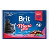 BRIT Premium Pouches Meat Plate 4 x 100 g