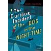 Mark Haddon The Curious Incident of the Dog in the Night-time (Tascabile)
