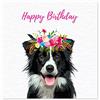 Curled Up Biglietto di compleanno Border Collie