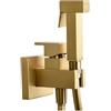 GALYON IMEX - Rubinetto da incasso a bidet quadrato - Irlanda Pro Rubinetteria da bagno, acqua fredda e calda, manico ergonomico, flessibile in acciaio rinforzato, installazione a parete. (Oro