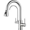 FORIOUS Rubinetto Lavello Cucina, Miscelatore a tre vie, Girevole a 360° Rubinetto Cucina con Doccetta Estraibile e Filtro Dell'acqua, Miscelatore a doppia maniglia, Acciaio Inox