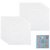 VPB Tela Aida in Plastica per Ricamo 20×20 cm - Set da 10 Pezzi, Canvas a Rete Bianca per Punto Croce, Uncinetto e Borse Fai da Te