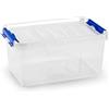Acan Plastic Forte - Scatola di plastica 8 litri, n. 26, 15,5 x 34 x 22,5 cm, contenitore con coperchio per organizzazione della casa, stoccaggio. (senza ruote, 8 litri)