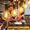 LUCUHM Luci a festone da 15 m con telecomando, luci a LED da giardino, alimentate a rete, dimmerabili, impermeabili, con timer, per patio, gazebo, balcone, esterno