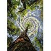 MEIYUDA DIY Diamond Painting Kit Foresta vortice, 5D Pittura Diamante Kit, Diamond Painting Ricamo a Punto Croce Artigianale Per La Decorazione Della Parete Di Casa 30x40cm