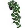 Hollyone Pothos di giada artificiale in vaso per la decorazione, 85 cm Golden Pothos pianta da interni falsificata da appendere in vaso per casa, stanza, ufficio