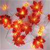 Auting Catena Luminosa Autunno 3m 20 LED Foglie Zucca