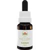 Australian Bush Flower Essences Lichen 15ml