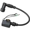 QWZOZST Bobina di accensione 6H5-85570 per Motore fuoribordo Yamaha 2 Tempi 40HP 48HP 50HP 3 cilindri L3 6H5-85570-00 Barca