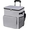 Temeemeg Borsa frigo da spiaggia con ruote Borsa frigo da 35 litri con multitasche isolata a tenuta stagna con ruote Grigio