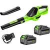 Pneterg Soffiatore di fogli senza fili, 21 V, 3000 W, soffiatore a batteria, 100 MPH, 120 CFM, 5 velocità, soffiatore Parkside potente e leggero per giardino, terrazza (2 batterie)