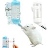 AMSGANK Bottiglia d'acqua per Criceto con Supporto, Dispenser d'acqua Sospeso con Stent Magnetici per Furetto, Criceti Siriani Nani, Gerbilli, Topi, Ratti, Degus (80ml)
