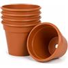 ACCURATE Vaso da giardino (set da 5) ideale per la coltivazione di talee o per la pungitura, colore terracotta, dimensioni (12,7 cm) (1)