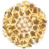 Slamp Clizia Ceiling-Wall Medium Mama Non Mama lampada da soffitto-parete Gold
