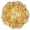 Slamp Clizia Ceiling-Wall Large Mama Non Mama lampada da soffitto-parete Gold