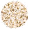 Slamp Veli Ceiling-Wall Large lampada da soffitto-parete Aurea