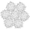 Slamp Veli 7 Suspension lampada a sospensione Foliage