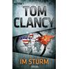 Heyne Taschenbuch Im Sturm: Thriller: 43672